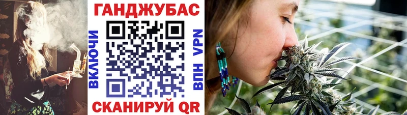 Каннабис гибрид  Бабушкин 